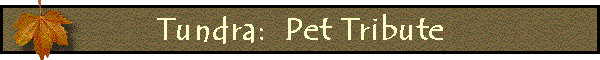Tundra:  Pet Tribute