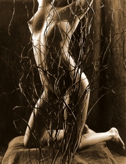 Victoria, Curly Willow, May, 2004