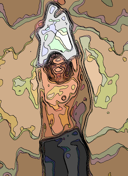 jg04d1_073art600contours